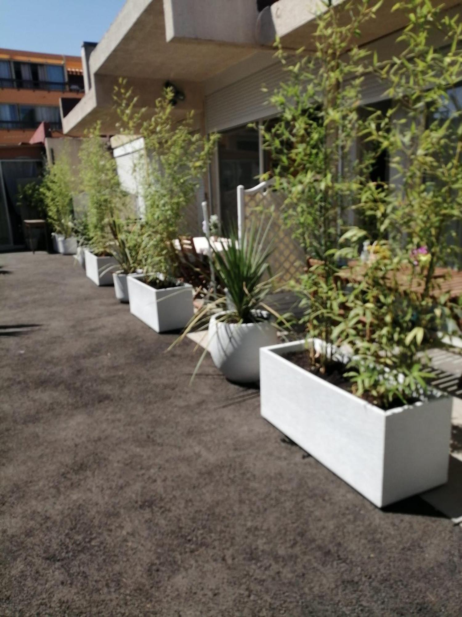 Asklan Apartment Bormes-les-Mimosas Bagian luar foto